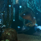 Illustration for article titled Pretty Pictures From BioShock 2